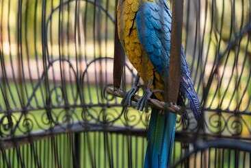 تختخواب و صبحانه Palais Hassoun Marrakech