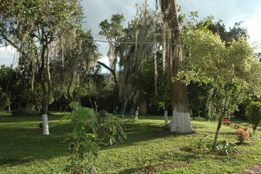 فندق California Pacho