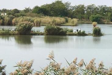 Bed and Breakfast Aqua P Art