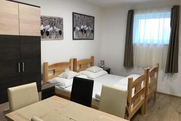 Bed and Breakfast Tó Party Apartman