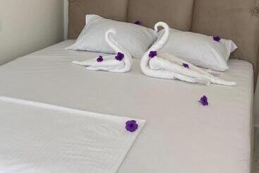 تختخواب و صبحانه Holliday Tivat