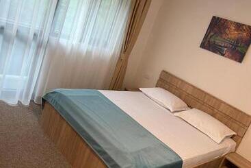 ペンション Panorama David