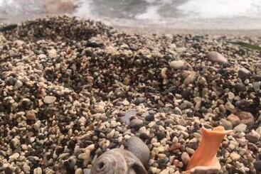 هتل آپارتمان Sunset Blizikuće