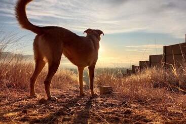 住宿加早餐 Casa Del Pibe Piola