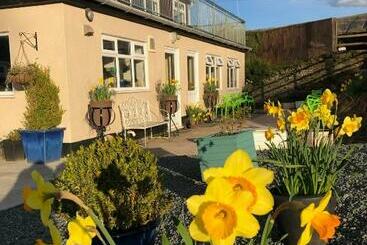 Общежитие The Living Energy Family Rooms