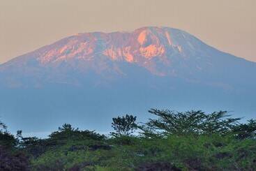 호텔 Arumeru River Lodge
