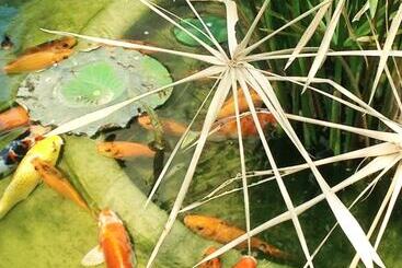 هتل Green Empire Resort