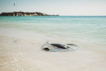 Margaret River Holiday Cottages