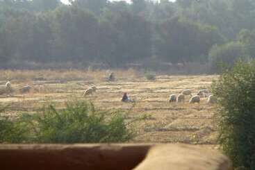 پانسیون Palais Mandarine