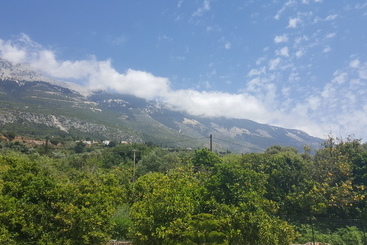 Stefanos Studios