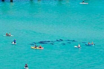 شقة فندقية Navarre Beach