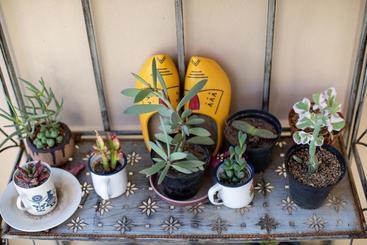 مبيت وإفطار African Tulip Guesthouse