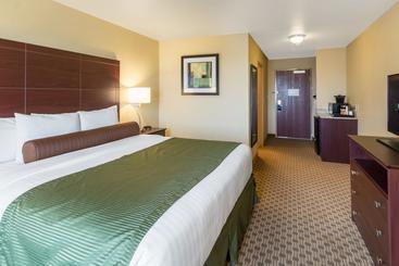 Cobblestone Hotel & Suites Pecos