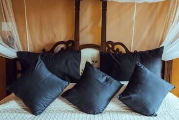 פנסיון Kholle House