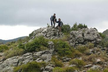 هاستل Auberge Dardara