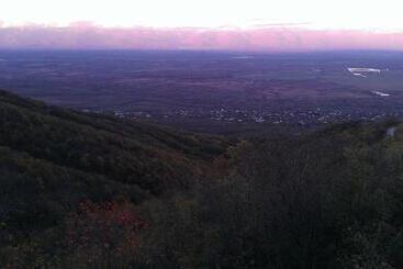 تختخواب و صبحانه Guest House Shota