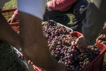 هتل Posada Campotinto