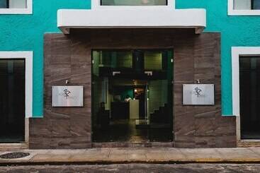 Отель Flamingo Merida