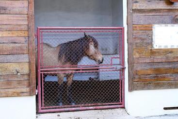 ホテル Fazenda Piramides