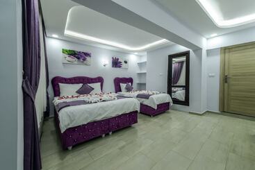 בית מלון כפרי Eren