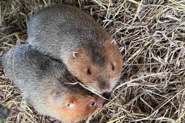 酒店 Banana Place Resort