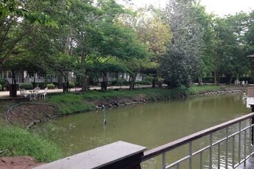 Young Coconut Garden Home Resort