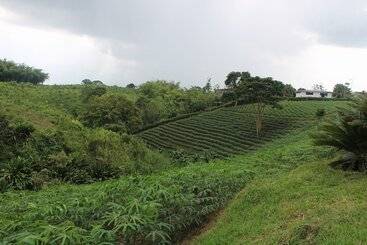 ホテル Finca La Colmena De Don Juaco