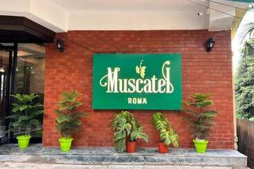 فندق Muscatel Roma