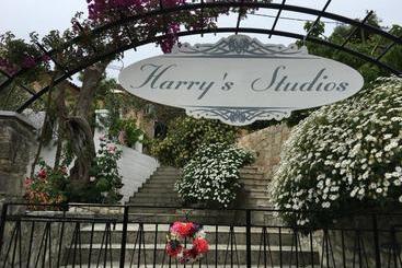 관광객 아파트 Harry S Studios