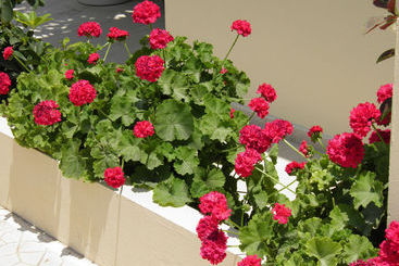 מלון דירות Porto Merika