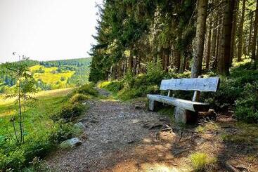 בית מלון כפרי Děvín