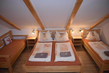 هتل Penzion U Jelena