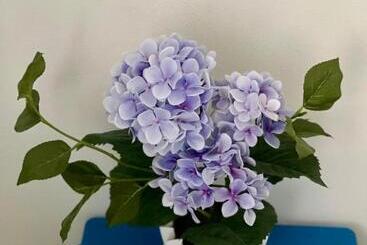 هتل Penzion U Vlčků