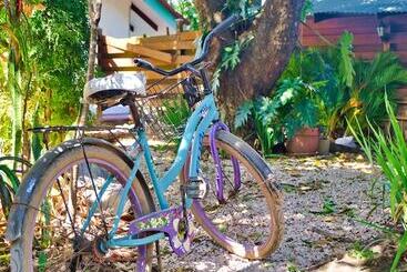 酒店 Samara Pacific Lodge