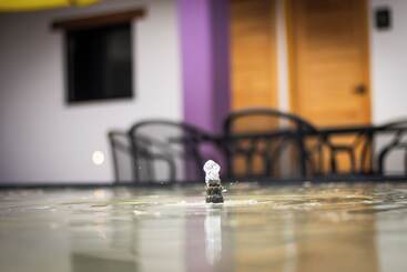 ユースホステル Hostal De La Montaña