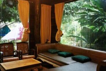 Wille Fig Tree Hills Resort