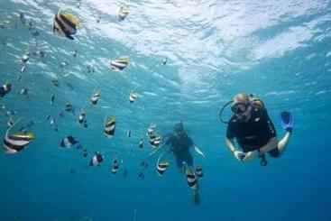 پانسیون Batuta Maldives Surf View