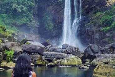 Пансион The Greendale Bungalow