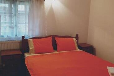 펜션 Casa De Vacanta Padis