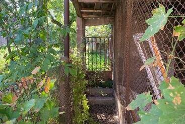 بنسيون Dendrobak Guesthouse