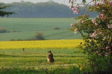 住宿加早餐 La Ferme Aux Oies