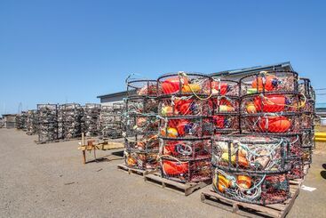 بيت ريفى On Site Creek & Fishing: Cozy Coos Bay Retreat!