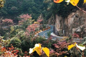 ホテル Blossom Garden Resort