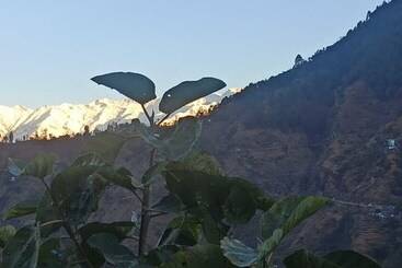 ホテル Goroomgo Green Valley Homestay Chopta
