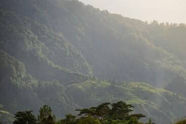 هتل Marianna Resort & Convention Tuktuk Samosir