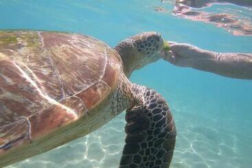 ベッドアンドブレックファースト E Seven House