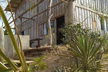 호스텔 Vida Playera