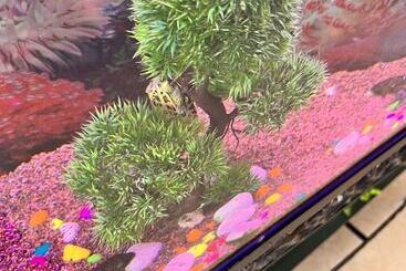 בית מלון כפרי Oyster Pearl Near Medanta Hospital Sec39