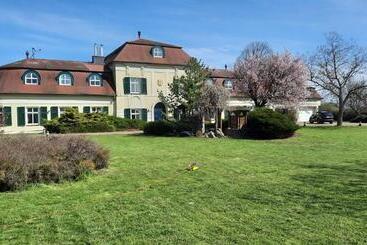 פנסיון Kaštieľ Sokoľany