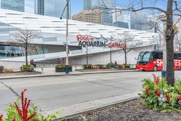 هتل 151 Dan Leckie Way